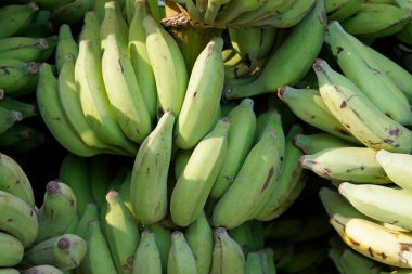 Goa 'daki Baga Plajı' nda hindu muz festivali