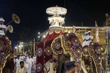 Colombo, Sri Lanka - 11 Şubat 2025: Gangaramaya Navam Maha Perahera fili