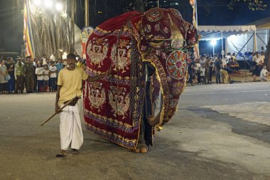 Colombo, Sri Lanka - 11 Şubat 2025: Gangaramaya Navam Maha Perahera fili