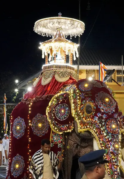 Colombo, Sri Lanka - 11 Şubat 2025: Gangaramaya Navam Maha Perahera fili