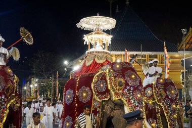 Colombo, Sri Lanka - 11 Şubat 2025: Gangaramaya Navam Maha Perahera fili