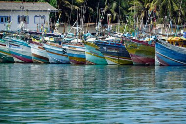Mirissa, Sri Lanka - 2 Şubat 2025: Limandaki renkli balıkçı tekneleri