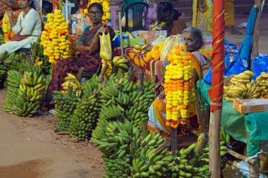 Baga Sahili, Goa, Hindistan - 18 Şubat 2025: muz festivali 