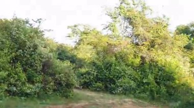 Uduwalewe Ulusal Parkı manzaralı