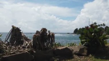 Ella, Sri Lanka - 6 Şubat 2025: Manzaralı tren yolculuğu