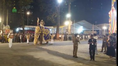 Colombo, Sri Lanka - 11 Şubat 2025: Gangaramaya Navam Maha Perahera festivalinde sanatçılar