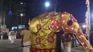 Colombo, Sri Lanka - 11 Şubat 2025: Gangaramaya Navam Maha Perahera festivalinde sanatçılar