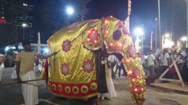 Colombo, Sri Lanka - 11 Şubat 2025: Gangaramaya Navam Maha Perahera festivalinde sanatçılar