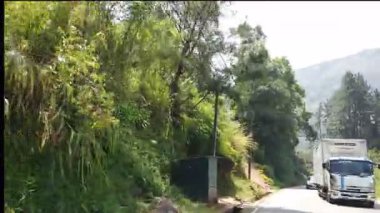 Nuwara Eliya, Sri Lanka - 30 Ocak 2025: Sri Lankas Highlands kırsal arazisi