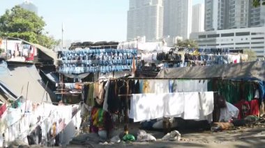 Mumbai, Hindistan - 20 Şubat 2025: Dhobi Ghat 'ta çamaşır yıkama