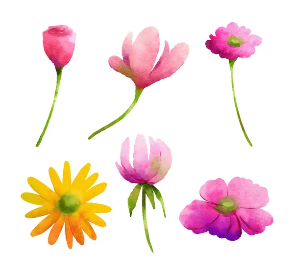 Flowers Set Watercolor Style Isolated White Background — Stockvektor