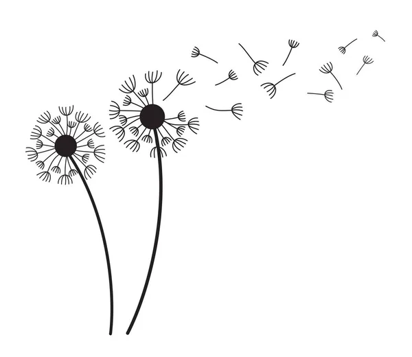 Πικραλίδες Ιπτάμενους Σπόρους Λευκό Φόντο Αφηρημένη Πικραλίδα Λουλούδια Άνεμος Φυσάει — Διανυσματικό Αρχείο