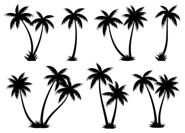 Palmen Silhouetten Sommer Gesetzt Palmen Isoliert Auf Weißem Hintergrund — Stockvektor