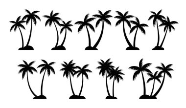 Palmiye ağaçlarının siluetleri yaz seti. Beyaz arkaplanda izole edilmiş palmiye ağaçları.