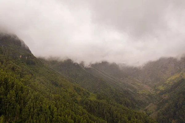 Photographie Par Drone Vallée Forêt Montagne Pendant Journée Nuageuse — Photo