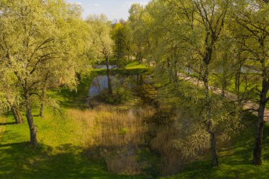 Yaz boyunca ağaçlarla çevrili küçük göletin drone fotoğrafçılığı