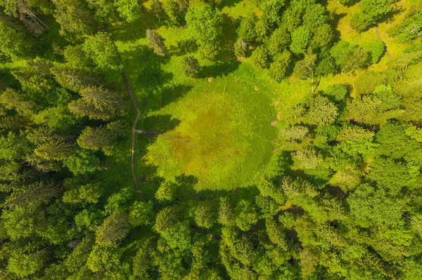 Yaz günü, ormanın ortasında büyük bir subatanın insansız hava aracı fotoğrafı.