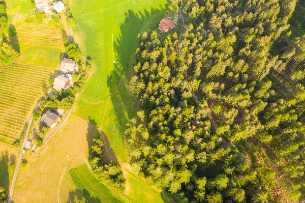 Drone photography of small mountain farm during summer day