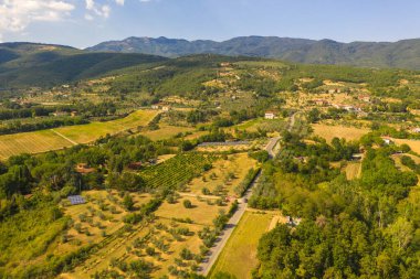 Drone photography of small rural town surrounded by agricultural fields, vineyards and olive trees during summer day