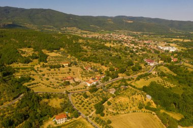 Drone photography of small rural town surrounded by agricultural fields, vineyards and olive trees during summer day
