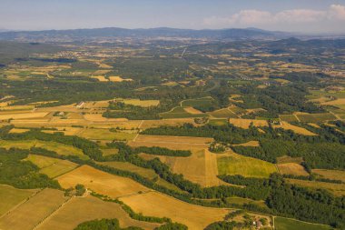 Drone photography of highway, vineyards and olive trees during summer day