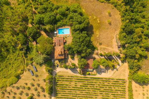 Drone photography of vineyard during summer day