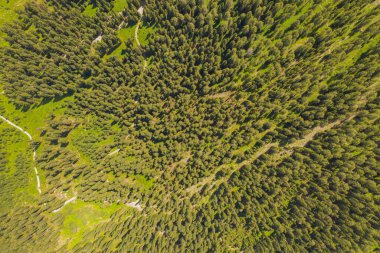Drone photography of mountain forest and hike paths during summer day