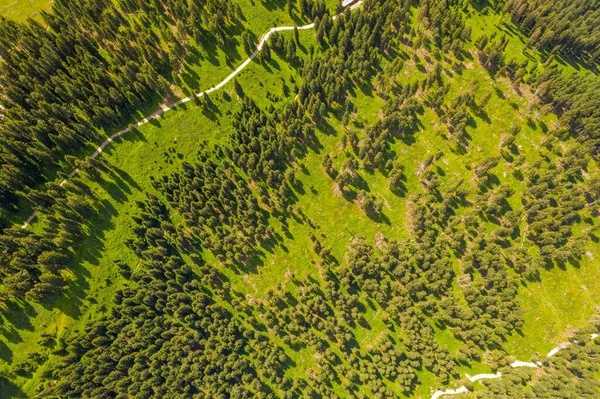 Drone photography of mountain hiking trails during summer day