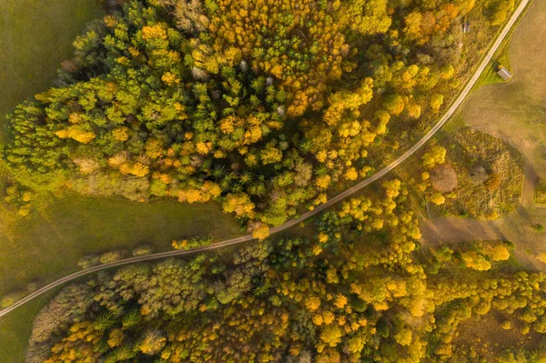 Drone photography of rural road going through forest during summer evening