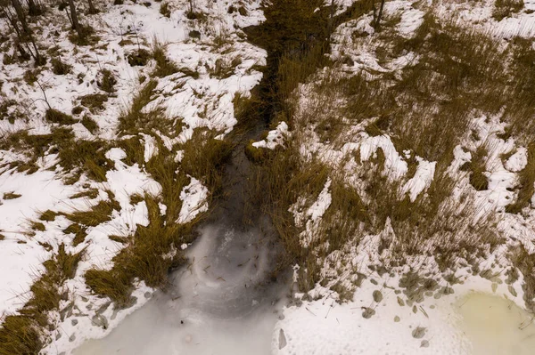 Drone photography of winter lake landscape surrounded by trees during winter day
