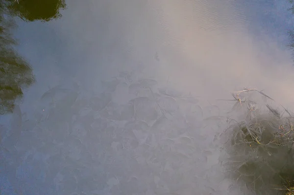 Bulutlu Kış Gününde Üzerinde Akan Nehir Buzun Insansız Hava Aracı — Stok fotoğraf