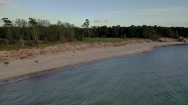 Deniz kıyısı, erozyon ve köpek gezdirme ile ilgili drone videosu.