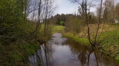 Nehir, orman ve ağaçların insansız hava aracı görüntüleri.