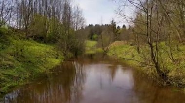 Nehir, orman ve ağaçların insansız hava aracı görüntüleri. Yüksek açı görünümü, ileri doğru uçuyor.