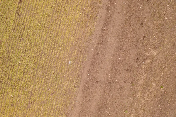 Drone Photography Agriculture Field Close Animal Tracks Mud Springtime Cloudy — Stock Photo, Image