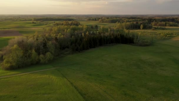Yaz Günbatımında Çayırların Ormanların Insansız Hava Aracı Görüntüleri Leri Uçuyor — Stok video