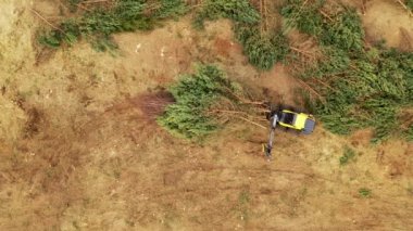 Küçük ağaçlara tırmanan ve bulutlu bahar şafağında taşınan orman makinesinin insansız hava aracı görüntüleri..