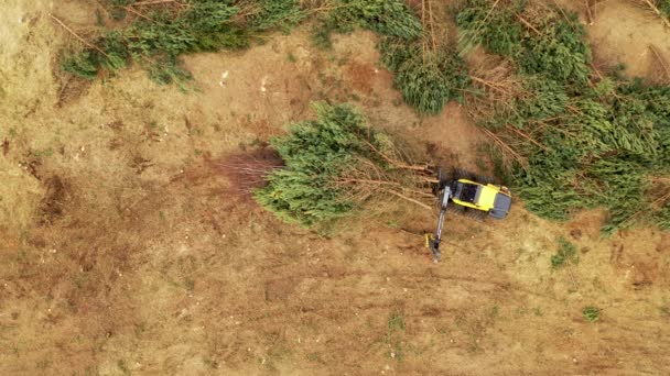 Imágenes Drones Máquinas Forestales Recogiendo Árboles Pequeños Transportándolos Durante Nublado — Vídeos de Stock