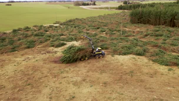Drohnenaufnahmen Von Forstmaschinen Die Kleine Bäume Aufhechten Und Während Der — Stockvideo