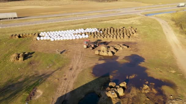 春の朝に家畜と一緒に小屋に干し草の俵を取ってトラクターのドローン映像 — ストック動画