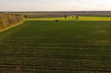 Çiftçinin bahar günü tarlalarına püskürttüğü drone fotoğrafları.