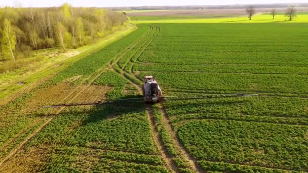 Fotografia Drone Fermierului Pulverizându Câmpurile Timpul Zilei Primăvară — Videoclip de stoc