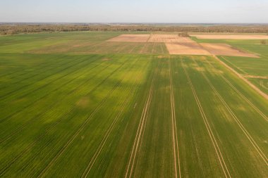 Baharın güneşli günlerinde tarımsal alan ve traktör lastik izlerinin drone fotoğrafçılığı.