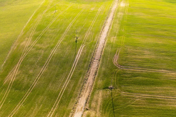 Drone Photographie Champs Agricoles Tracteur Traces Pneus Pendant Journée Ensoleillée — Photo
