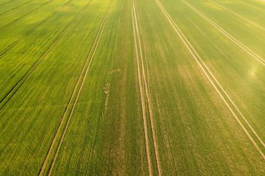 Baharın güneşli günlerinde tarımsal alan ve traktör lastik izlerinin drone fotoğrafçılığı.