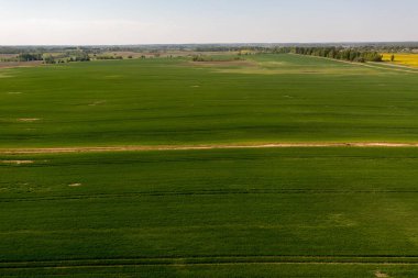 Baharın güneşli günlerinde tarım alanlarının insansız hava aracı görüntüleri