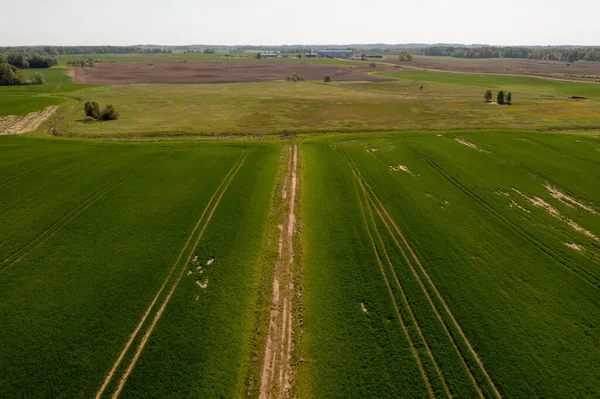 Baharın güneşli günlerinde tarım alanlarının insansız hava aracı görüntüleri