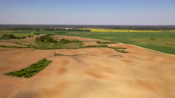 Drónfelvételek Mezőgazdaságról Tavaszi Napsütésben — Stock videók