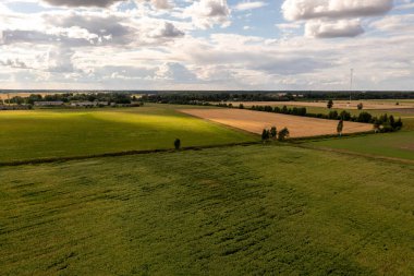 Yaz günü tarımsal tarlaların insansız hava aracı fotoğrafları