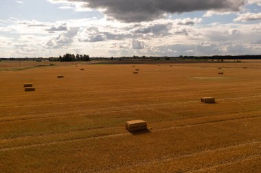 Yaz boyunca tarım alanlarının ve kare hale balyalarının insansız hava aracı fotoğrafçılığı